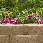 art_61099_Raised Bed Gardening